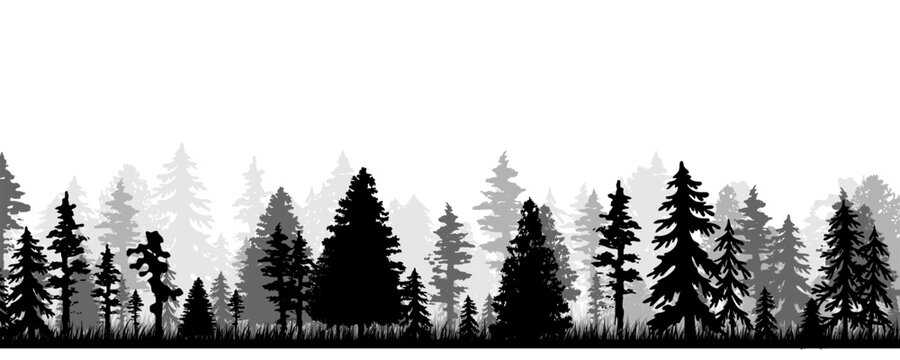Wild deep forest silhouette. Layered vector illustration. Foggy landscape