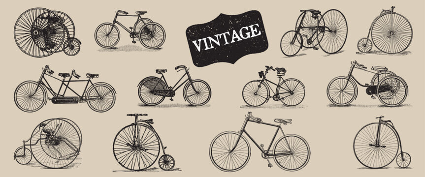 Vintage vehicles. Retro Bicycle Set. Tricycle Illustration. Ride Transportation. Travel Antique Transport. Retro Line Drawing. Engraving Old Transport. Travel concept. European city bike.