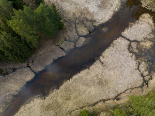 A view of the gas overgrown river Abuls in spring, Latvia