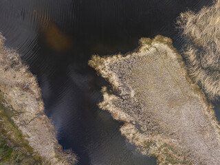 A view of the gas overgrown river Abuls in spring, Latvia
