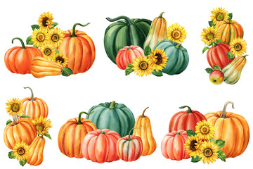 Set autumn colored elements on isolated white background. Pumpkin and sunflowers. Watercolor illustration, hand drawing