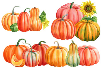 Pumpkin, autumn set of elements on isolated white background, watercolor illustration, hand drawing