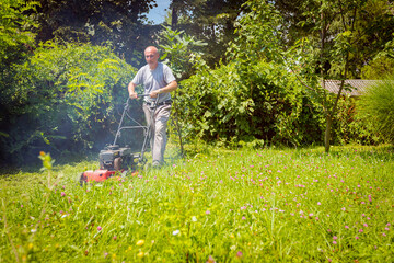Farmer is mowing lawn in the garden with a petrol lawn mower that smokes - obrazy, fototapety, plakaty