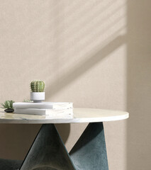 Minimal, modern white marble round side table podium, books, cactus in sunlight, shadow from window...