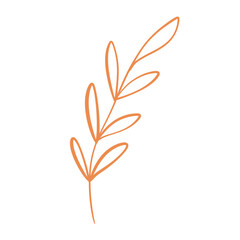 Orange doodle outline branch isolated on white background. Hand drawn. Part of a plant.