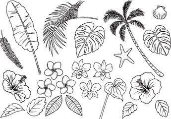 南国の植物　手描き線画　アイコンセット　