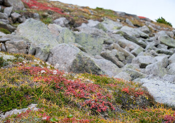 岩場の登山風景