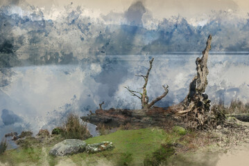 Fototapeta premium Digital watercolour painting of Beautiful peaceful Winter landscape image of Loughtrigg Tarn on misty morning with calm water and foggy countryside in the background
