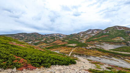 Fototapeta premium 大雪山黒岳の紅葉