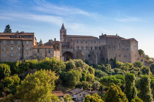 Italy, Lazio, Viterbo, Trees in front of Palazzo dei Papi