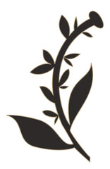 Stem of flower, leaves and foliage paisley vector