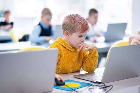 Thoughtful boy using laptop in computer class at school