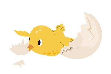 Chicken hatching from egg. Chick in shell. Process of birth and life of small feathered bird. Farming and agriculture. Sticker for social networks and messengers. Cartoon flat vector illustration