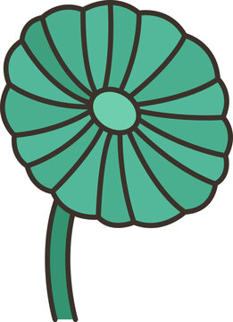 acetabularia  icon