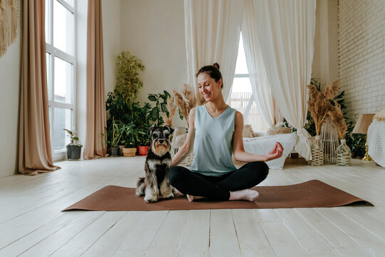 Smiling woman practicing yoga by Schnauzer dog on exercise mat at home