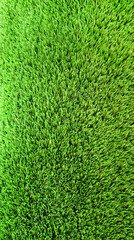 Green grass background. Lawn, football field, green grass artificial turf, texture, top view © Ninaveter