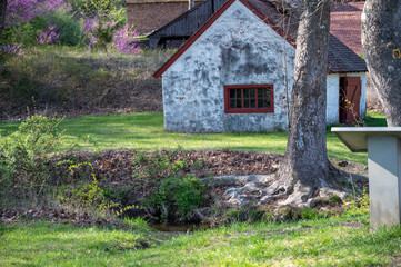 Gnarled tree roots by a stream and stone cottage background