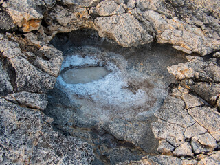 acqua salmastra, salina
