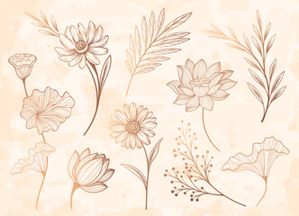 Gold floral outline set. Collection of flowers, branches and plants. Aesthetics and elegance. Summer and spring season. Floristry and botany. Flat vector illustrations isolated on beige background