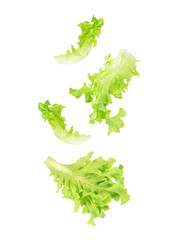 Fresh salad green lettuce leaves falling in the air isolated on transparent background. PNG - obrazy, fototapety, plakaty