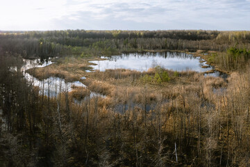 A swampy lake in rural area in Europe