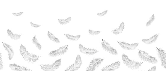 Fototapeta na wymiar Seamless border, white feathers fall into the air on a white background. Background with copy space, vector