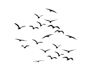 black birds in motion clipart