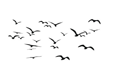 nature inspired bird silhouette set