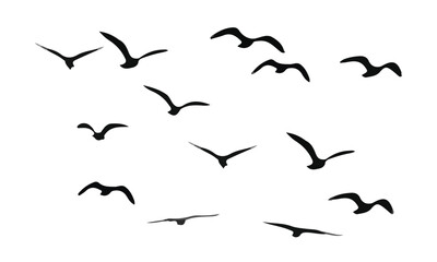 bird in sky stencil outline flock