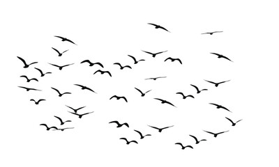 freedom symbol flying bird art