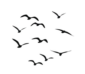 flying birds silhouette vector minimal