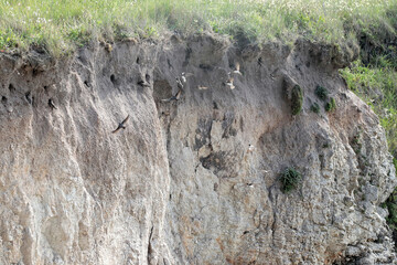 batz sur mer © david delecourt