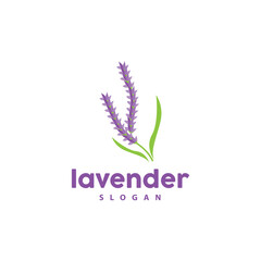 Lavender Logo, Simple Elegant Purple Flower Plant Vector, Greeting Card Design, Banner, Flower Ornament, Lavender Hand Drawn Wedding, Icon Symbol Illustration
