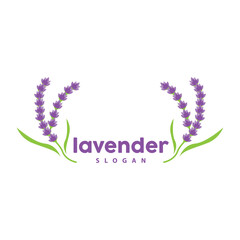 Lavender Logo, Simple Elegant Purple Flower Plant Vector, Greeting Card Design, Banner, Flower Ornament, Lavender Hand Drawn Wedding, Icon Symbol Illustration