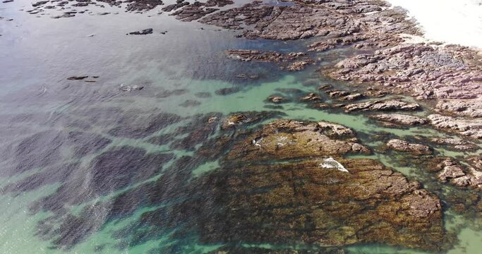 Aerial Pan Up View Along Thurlestone Coastline During Low Tide