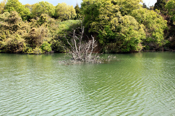 釣れそうな景色