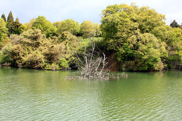 ストラクチャー