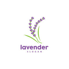 Lavender Logo, Simple Elegant Purple Flower Plant Vector, Greeting Card Design, Banner, Flower Ornament, Lavender Hand Drawn Wedding, Icon Symbol Illustration