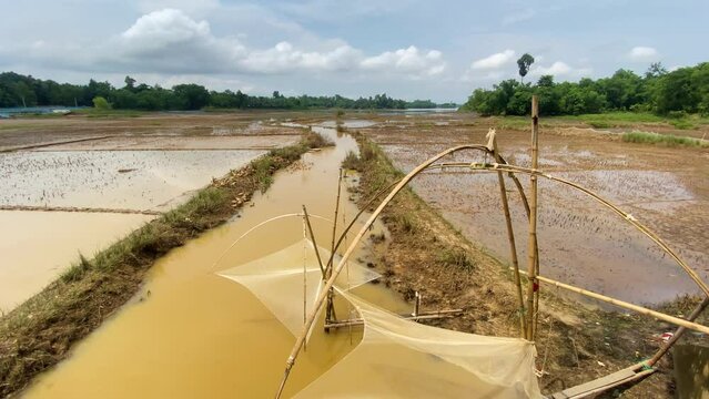 Fishing traps on a water cannal in a mudland, rural Bangladesh