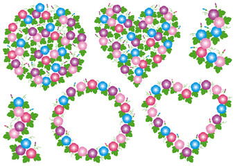 朝顔のイラスト素材