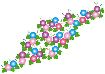 朝顔の背景イラスト素材