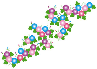 朝顔の背景イラスト素材