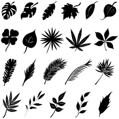 Set of 21 realistic leaf silhouettes black color shapes
