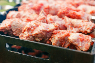 Close-up of raw kebab on skewers in nature. Cooking on a hike