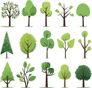 Cartoon trees set isolated on a white background. Simple modern style. Cute green plants, forest, vector flat