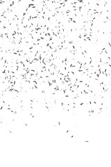 Silver confetti background. Isolated, cut out. 3d rendering