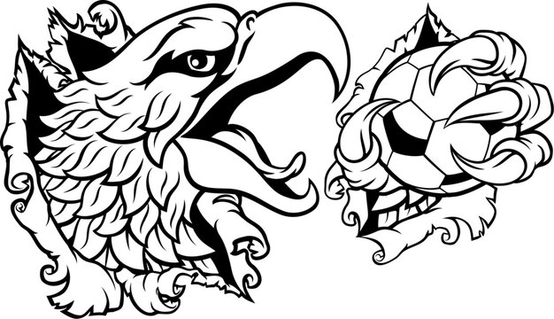 A bald eagle or hawk with claw talons holding a soccer football ball and ripping or tearing through the background. Sports Mascot