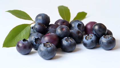 Indulge in the sweet taste of summer with blueberries a group of widespread perennial plants bearing the gift of blue and purple-hued berries