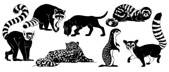 Animal silhouettes set isolated on white. Lemur, Raccoon, Hound, Leopard, Marbled Ferret, Ground Squirrel, Ringtail Cat. Vector cliparts.