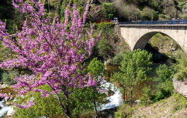 Cabezuela del Valle bridge, Jerte Valley, Spain